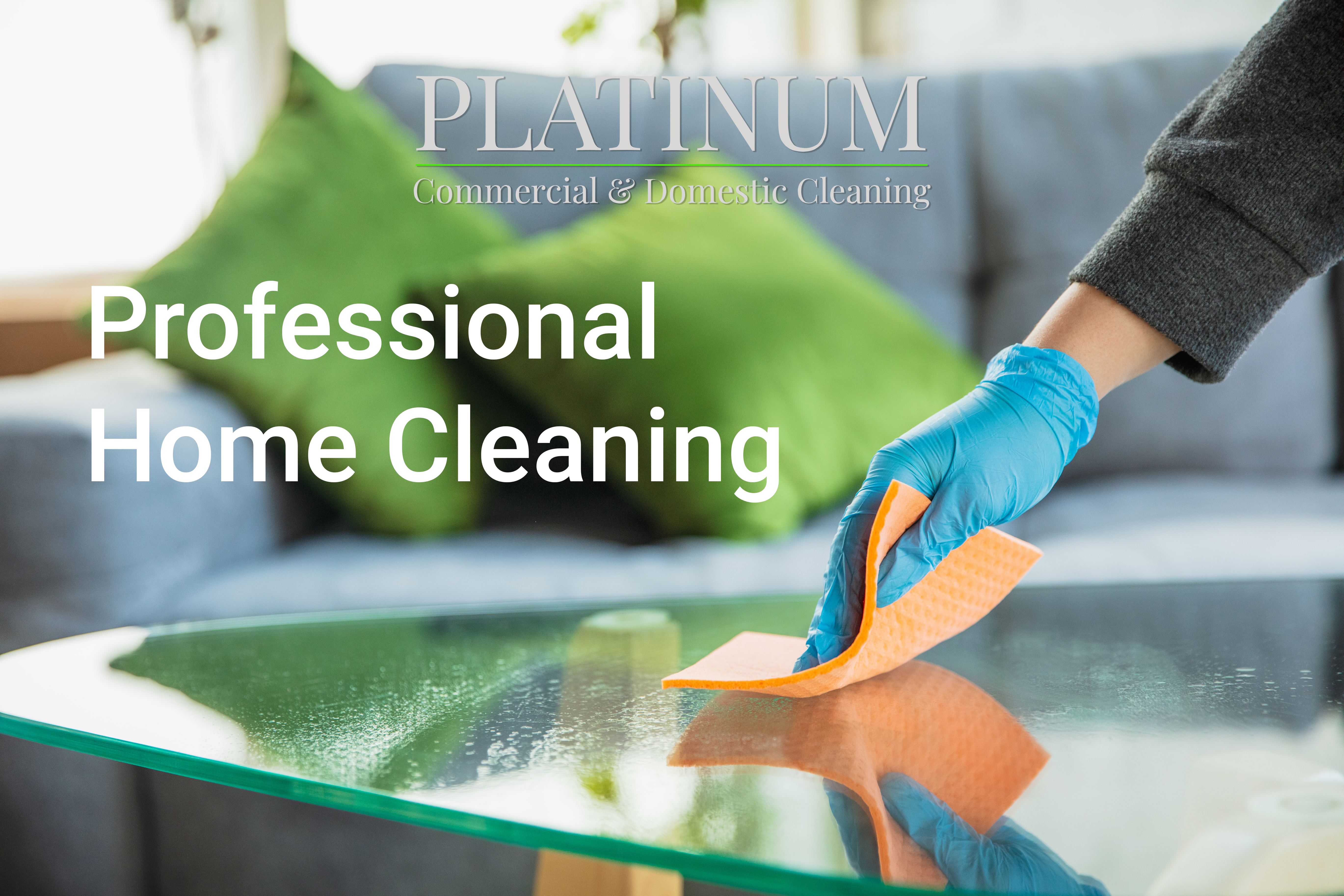 We are experts at Professional Home Cleaning
