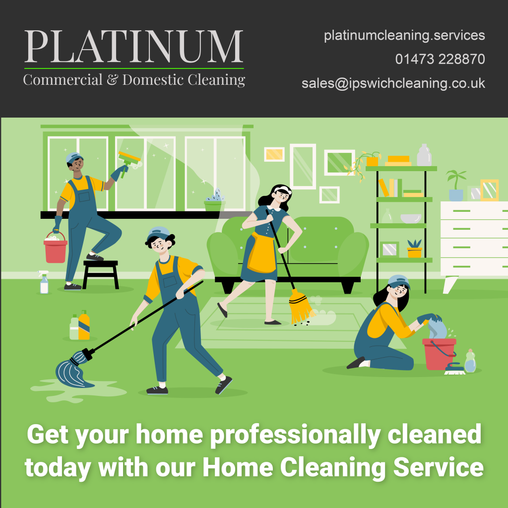 Platinum Cleaning Home Domestic Cleaning Service Graphic v001_002-01