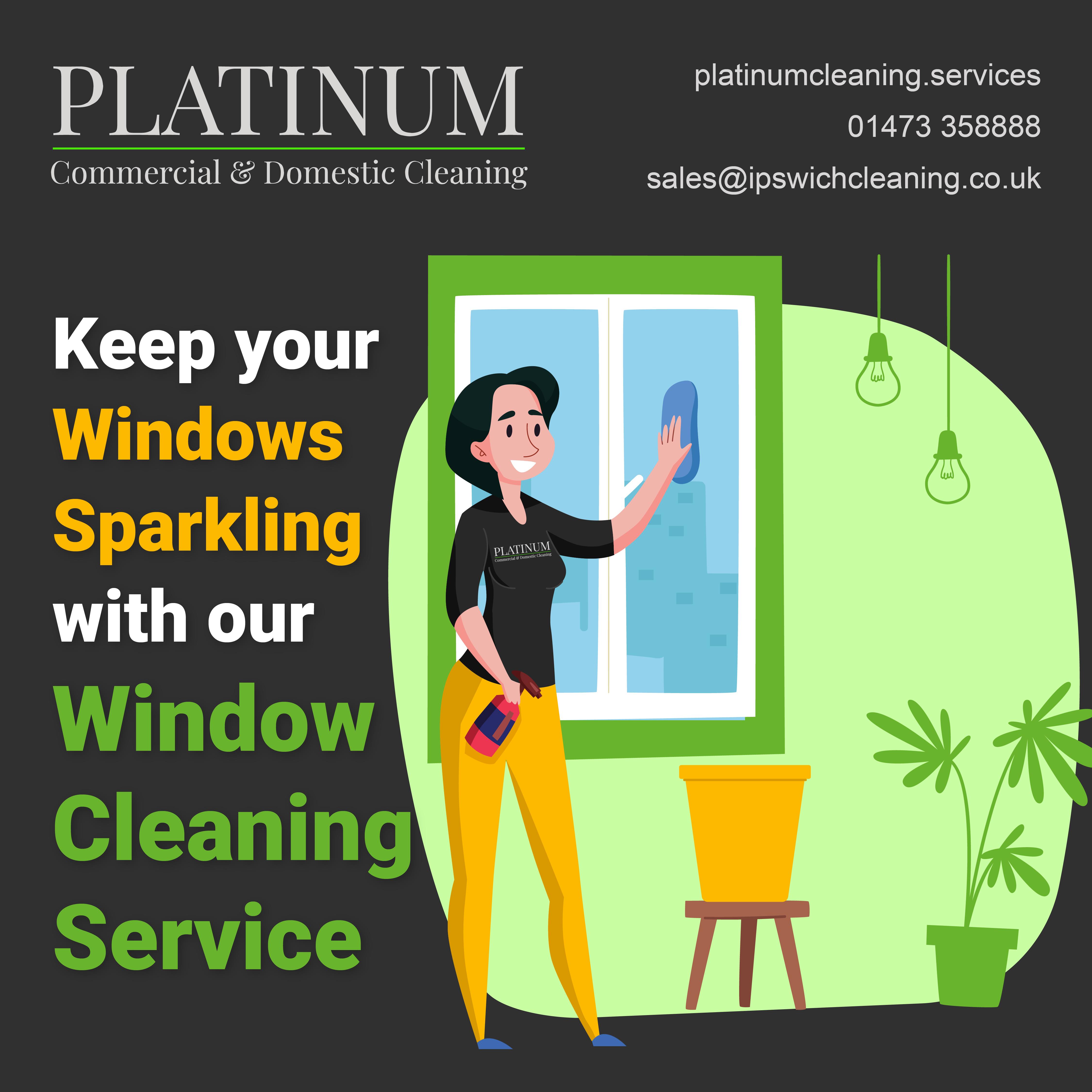 Spotless Windows, Spotless Views: How Our Window Cleaning Service Enhances Your Home or Office